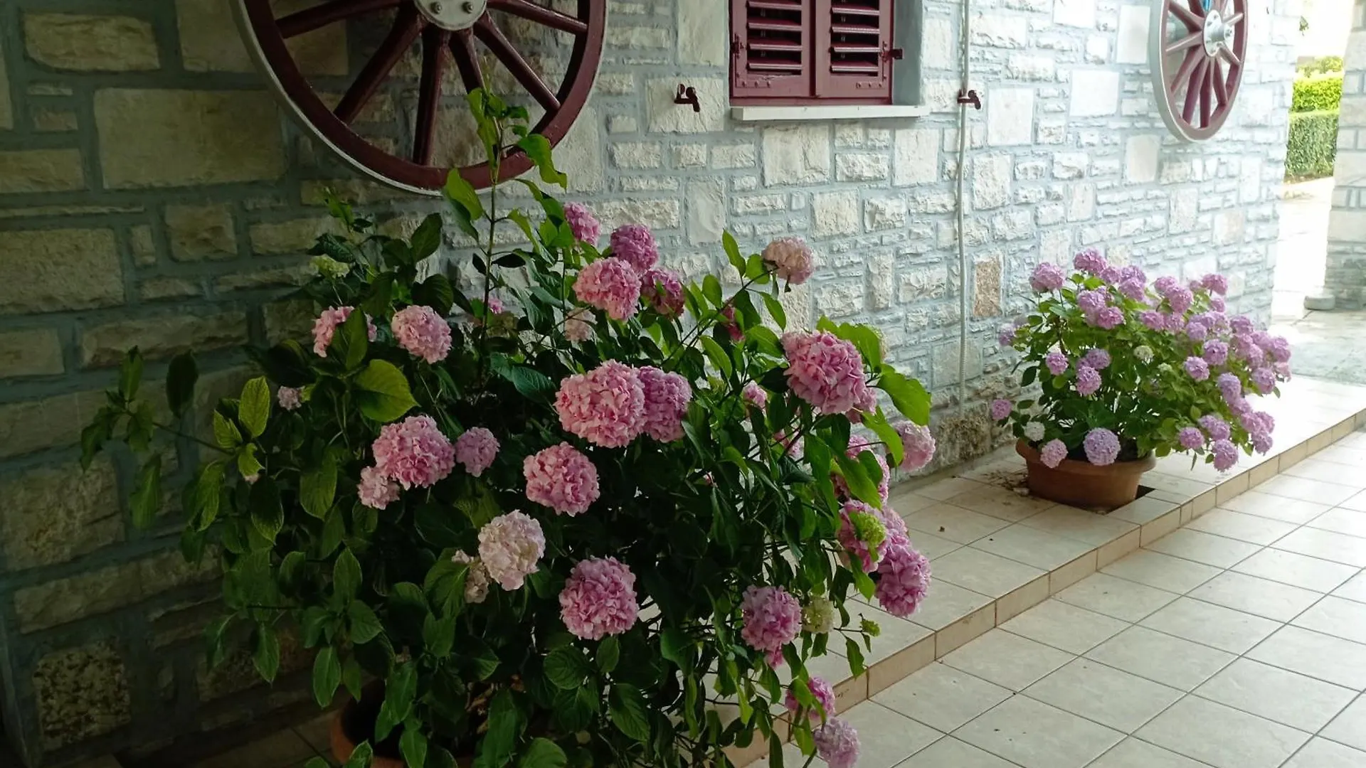 Apartman Sunce Umag